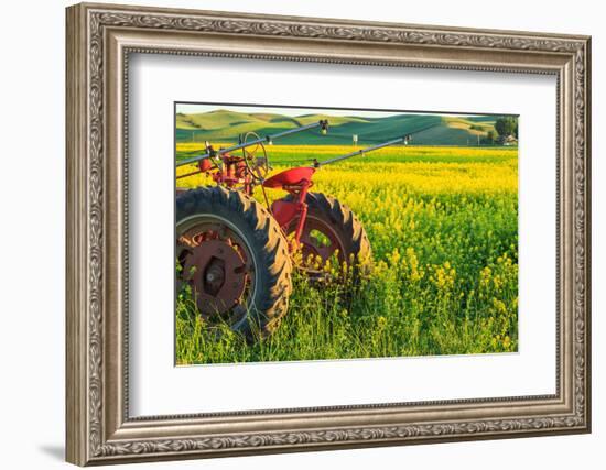 Canola Fields, town of Steptoe, Palouse Area, Washington State-Stuart Westmorland-Framed Photographic Print