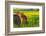 Canola Fields, town of Steptoe, Palouse Area, Washington State-Stuart Westmorland-Framed Photographic Print