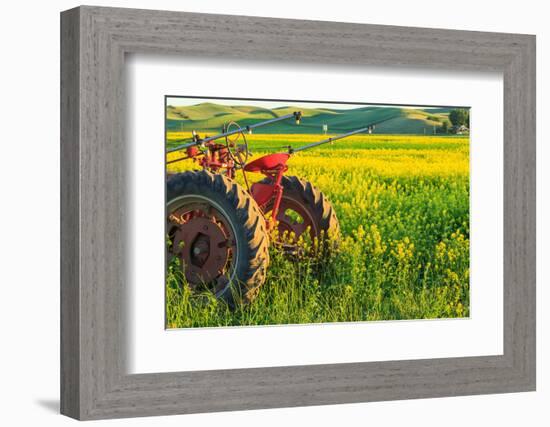 Canola Fields, town of Steptoe, Palouse Area, Washington State-Stuart Westmorland-Framed Photographic Print