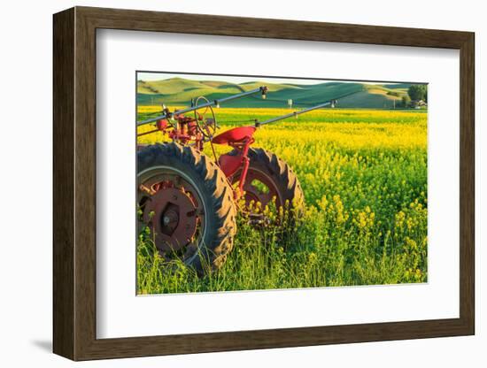 Canola Fields, town of Steptoe, Palouse Area, Washington State-Stuart Westmorland-Framed Photographic Print