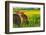 Canola Fields, town of Steptoe, Palouse Area, Washington State-Stuart Westmorland-Framed Photographic Print