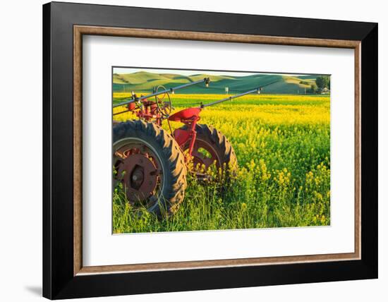 Canola Fields, town of Steptoe, Palouse Area, Washington State-Stuart Westmorland-Framed Photographic Print