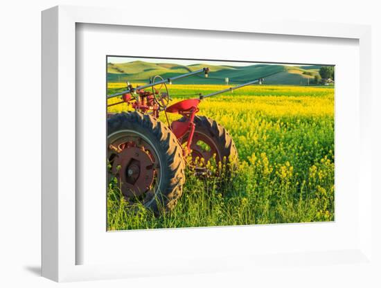 Canola Fields, town of Steptoe, Palouse Area, Washington State-Stuart Westmorland-Framed Photographic Print