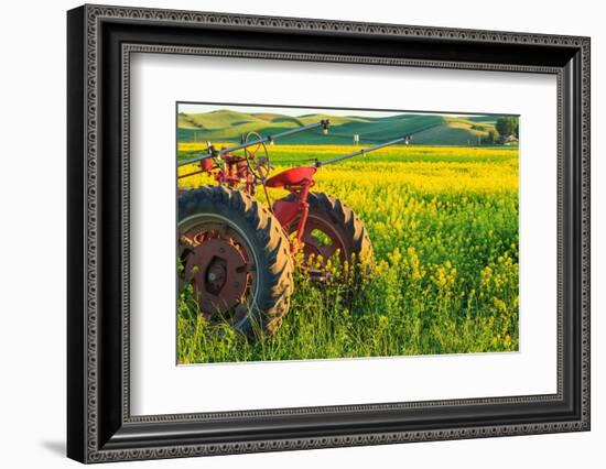 Canola Fields, town of Steptoe, Palouse Area, Washington State-Stuart Westmorland-Framed Photographic Print