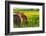 Canola Fields, town of Steptoe, Palouse Area, Washington State-Stuart Westmorland-Framed Photographic Print