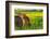 Canola Fields, town of Steptoe, Palouse Area, Washington State-Stuart Westmorland-Framed Photographic Print