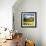 Canola Fields-Cherie Roe Dirksen-Framed Giclee Print displayed on a wall