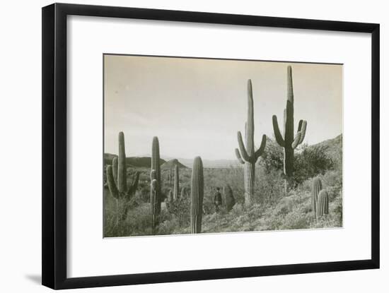 Canon des Coches, Tortolita Mountains, USA-D. T. MacDougal-Framed Photographic Print