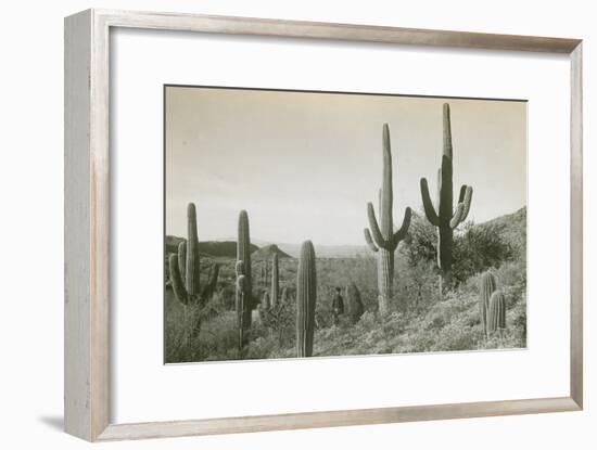 Canon des Coches, Tortolita Mountains, USA-D. T. MacDougal-Framed Photographic Print