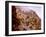 Canon of the Rio Las Animas, Colorado-null-Framed Photo