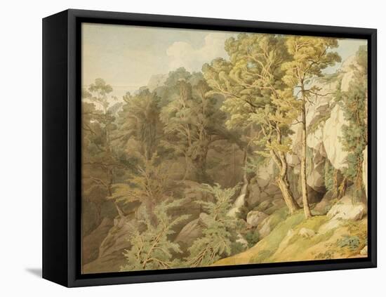 Canonteign, Devon, 1804-John White Abbott-Framed Premier Image Canvas