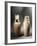 Canopic Jars-null-Framed Giclee Print