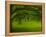 Canopu-Irene Suchocki-Framed Premier Image Canvas