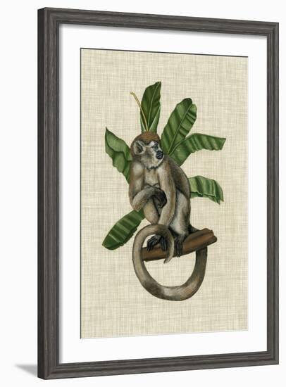 Canopy Monkey I-Naomi McCavitt-Framed Art Print