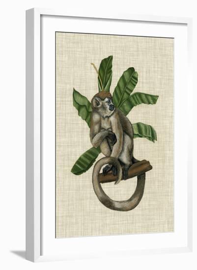 Canopy Monkey I-Naomi McCavitt-Framed Art Print