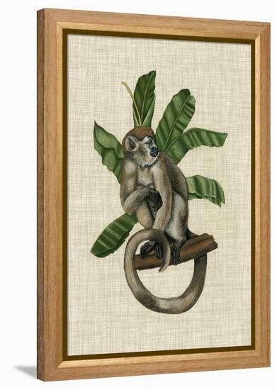 Canopy Monkey I-Naomi McCavitt-Framed Stretched Canvas