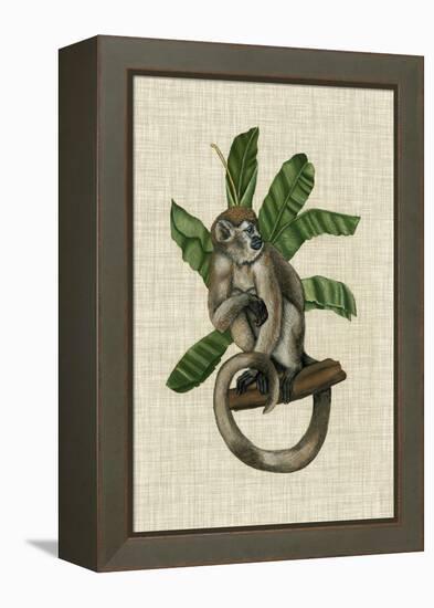 Canopy Monkey I-Naomi McCavitt-Framed Stretched Canvas