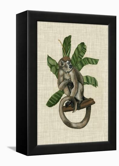 Canopy Monkey I-Naomi McCavitt-Framed Stretched Canvas