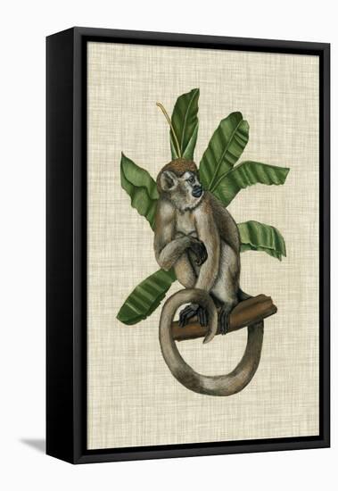 Canopy Monkey I-Naomi McCavitt-Framed Stretched Canvas