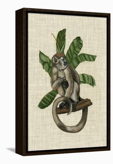 Canopy Monkey I-Naomi McCavitt-Framed Stretched Canvas