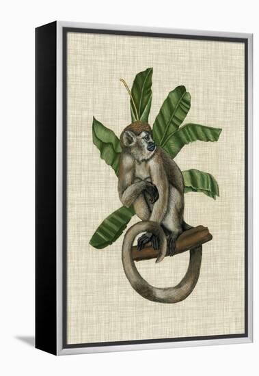 Canopy Monkey I-Naomi McCavitt-Framed Stretched Canvas