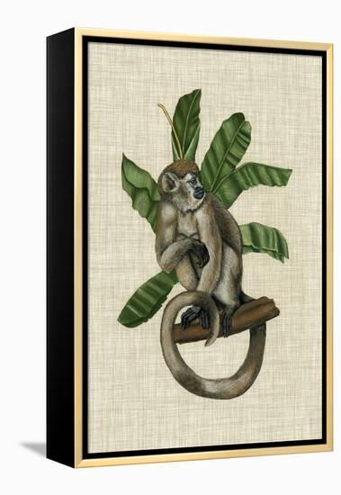 Canopy Monkey I-Naomi McCavitt-Framed Stretched Canvas