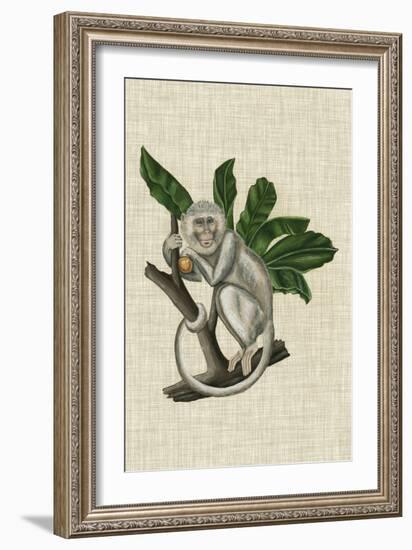 Canopy Monkey II-Naomi McCavitt-Framed Art Print