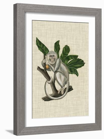 Canopy Monkey II-Naomi McCavitt-Framed Art Print