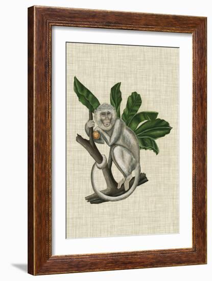 Canopy Monkey II-Naomi McCavitt-Framed Art Print