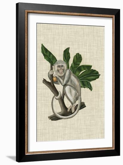 Canopy Monkey II-Naomi McCavitt-Framed Art Print