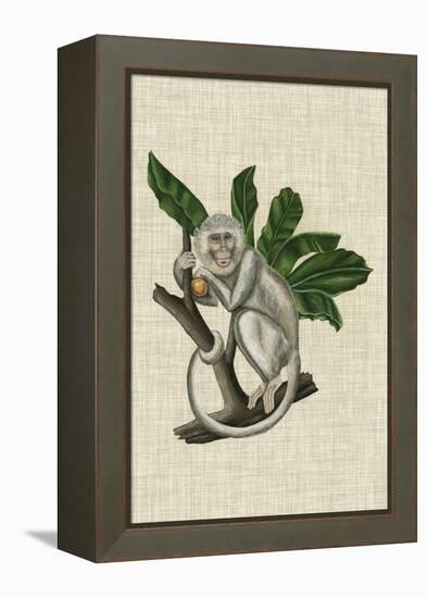 Canopy Monkey II-Naomi McCavitt-Framed Stretched Canvas