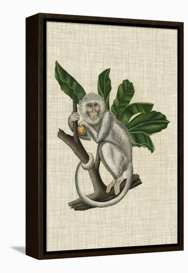 Canopy Monkey II-Naomi McCavitt-Framed Stretched Canvas