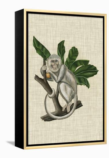 Canopy Monkey II-Naomi McCavitt-Framed Stretched Canvas