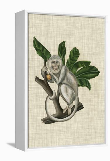 Canopy Monkey II-Naomi McCavitt-Framed Stretched Canvas