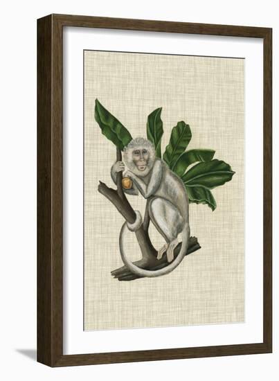 Canopy Monkey II-Naomi McCavitt-Framed Premium Giclee Print