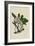 Canopy Monkey II-Naomi McCavitt-Framed Premium Giclee Print