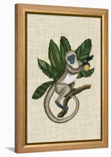 Canopy Monkey III-Naomi McCavitt-Framed Stretched Canvas