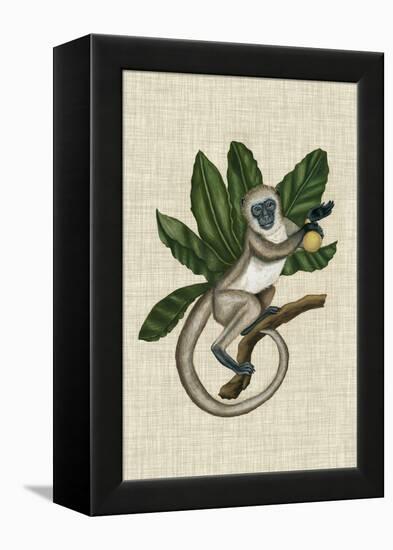 Canopy Monkey III-Naomi McCavitt-Framed Stretched Canvas