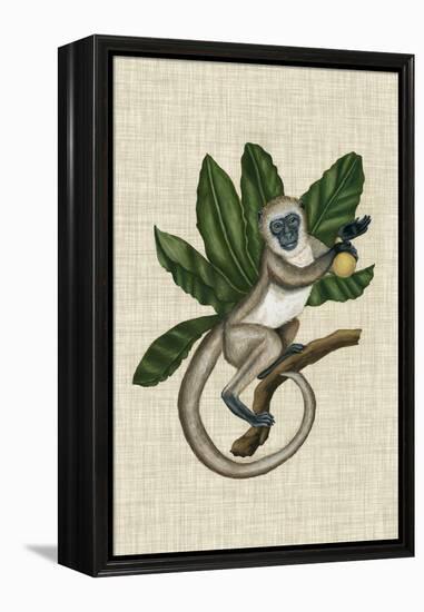 Canopy Monkey III-Naomi McCavitt-Framed Stretched Canvas