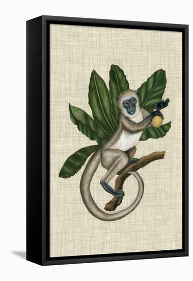 Canopy Monkey III-Naomi McCavitt-Framed Stretched Canvas