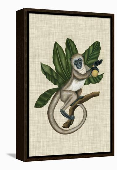 Canopy Monkey III-Naomi McCavitt-Framed Stretched Canvas