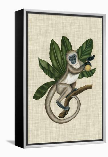 Canopy Monkey III-Naomi McCavitt-Framed Stretched Canvas