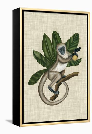 Canopy Monkey III-Naomi McCavitt-Framed Stretched Canvas