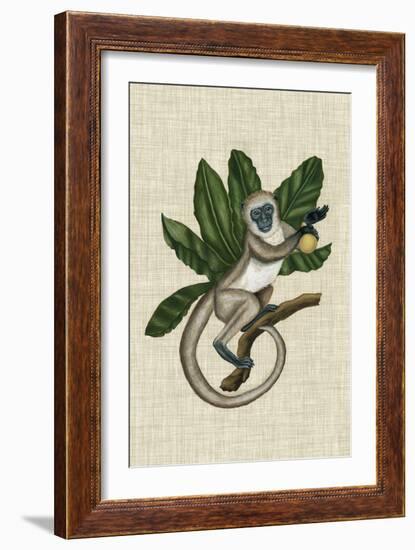 Canopy Monkey III-Naomi McCavitt-Framed Premium Giclee Print