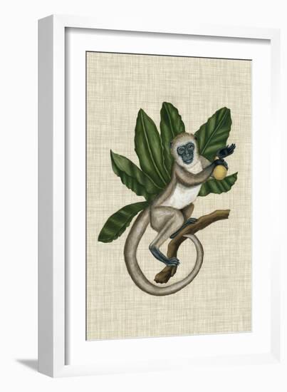 Canopy Monkey III-Naomi McCavitt-Framed Premium Giclee Print