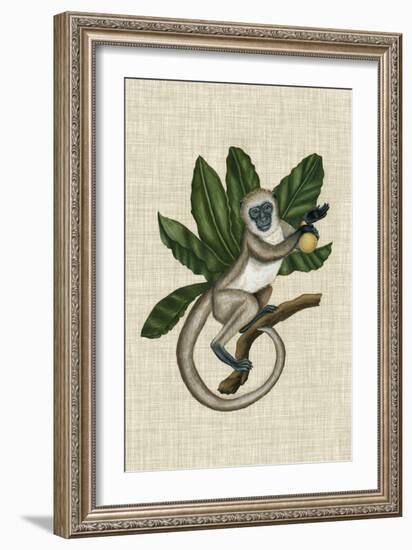 Canopy Monkey III-Naomi McCavitt-Framed Art Print