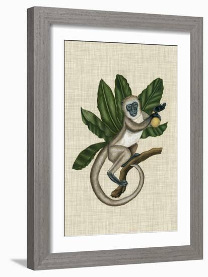 Canopy Monkey III-Naomi McCavitt-Framed Art Print