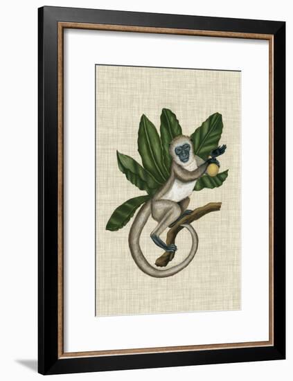 Canopy Monkey III-Naomi McCavitt-Framed Art Print