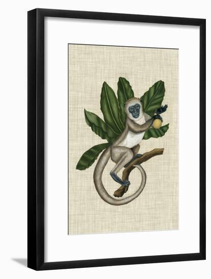 Canopy Monkey III-Naomi McCavitt-Framed Art Print
