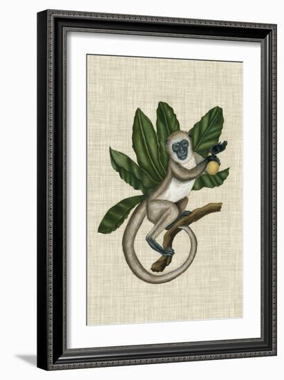 Canopy Monkey III-Naomi McCavitt-Framed Art Print